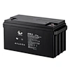 Marine/RV Battery